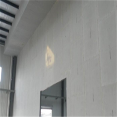 商南宁波ALC板|EPS加气板隔墙与混凝土整浇联接的实验研讨